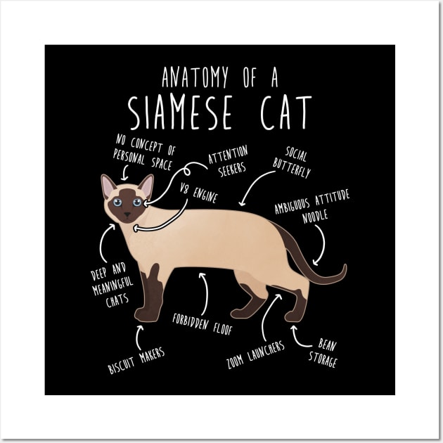 Siamese Cat Anatomy Wall Art by Psitta